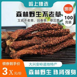 大興安嶺野生不老草100g,草蓯蓉,回春草,泡茶泡酒喝,補腎強身