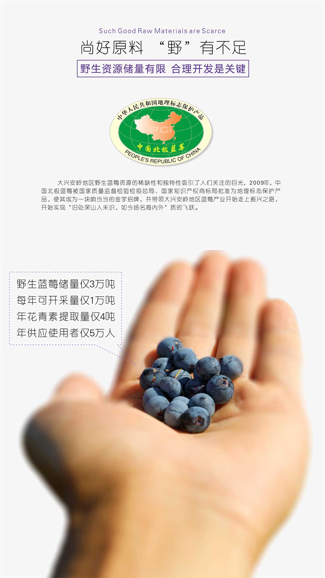 ACY-至臻尚品-D9动力-蓝莓黄杞参精片6x28产品介绍-06.jpg